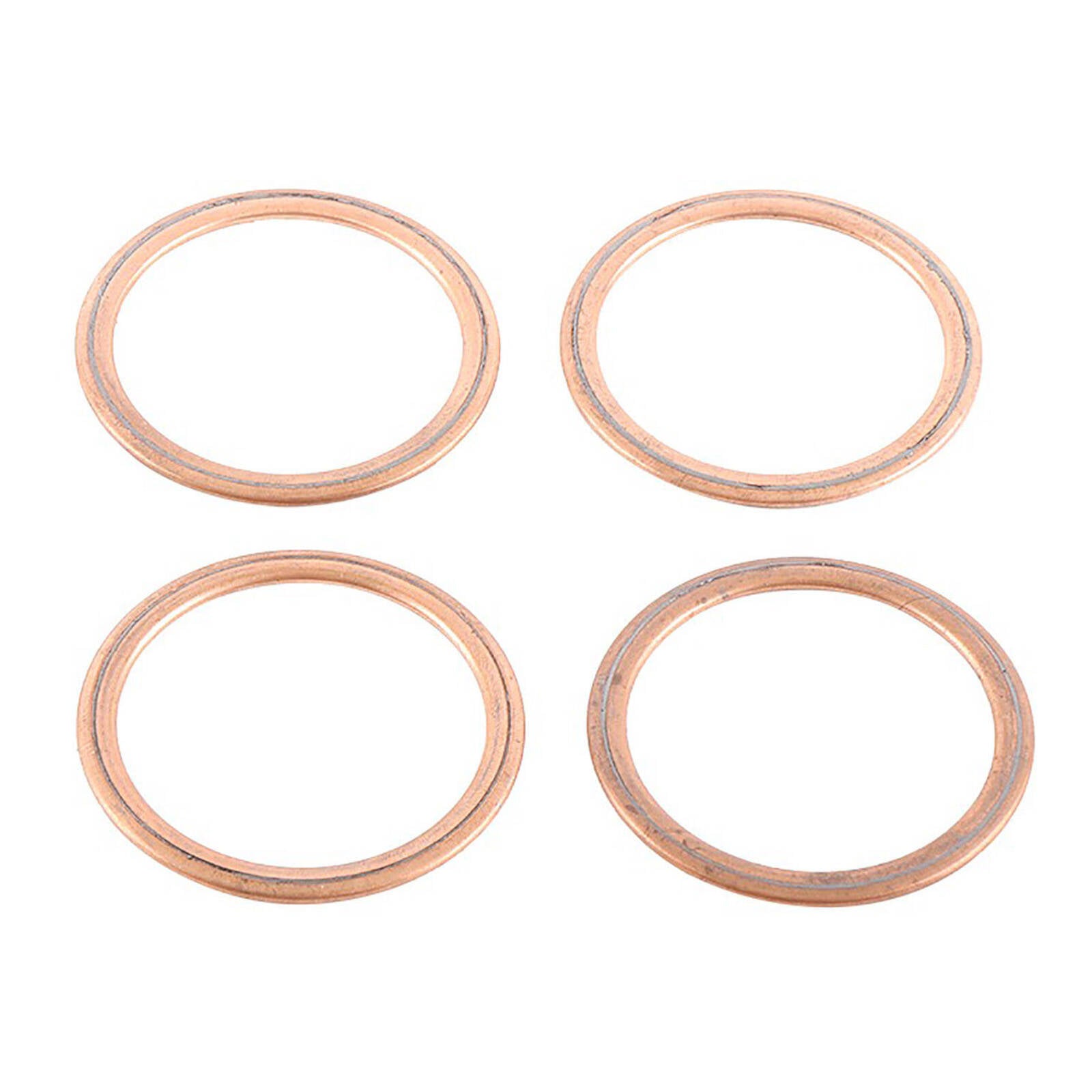 Exhaust Gasket Kit 823025