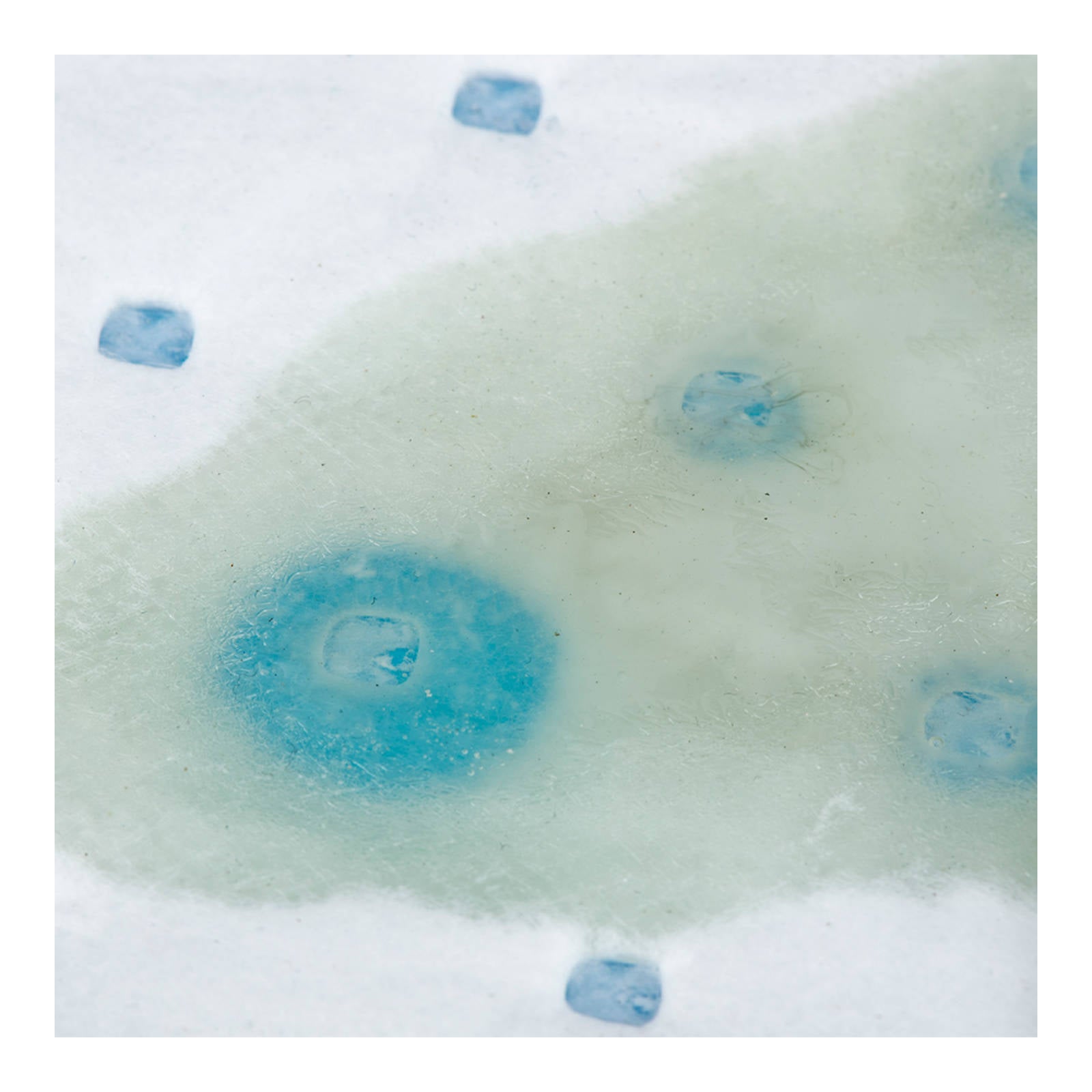 Oxford Drip Absorbent Pads